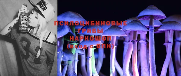 ПСИЛОЦИБИНОВЫЕ ГРИБЫ Навашино