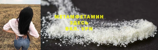 индика Надым