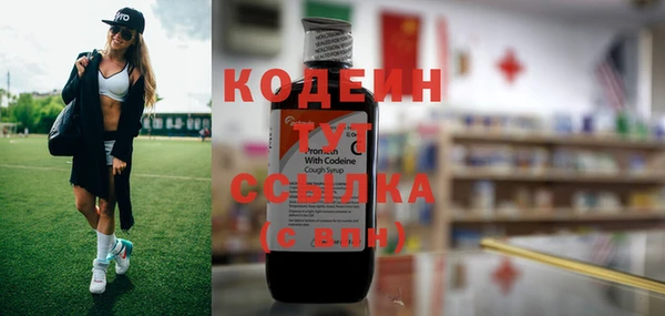 индика Надым