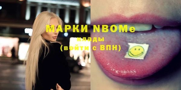 индика Надым