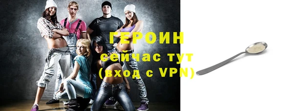 индика Надым