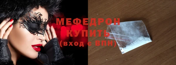 индика Надым
