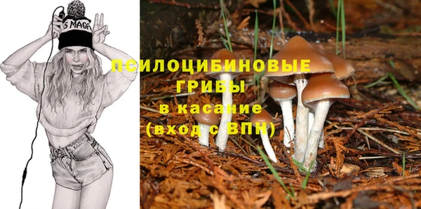амф Наволоки