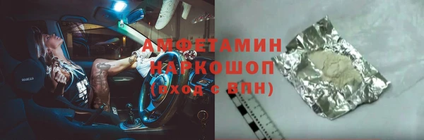 индика Надым