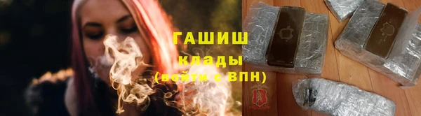 индика Надым