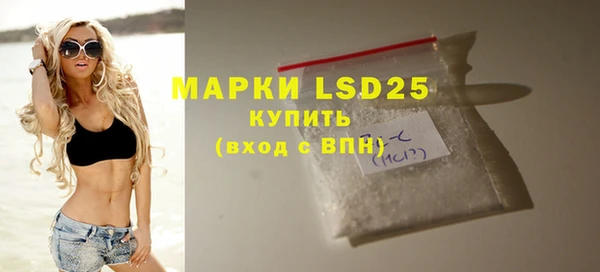 индика Надым