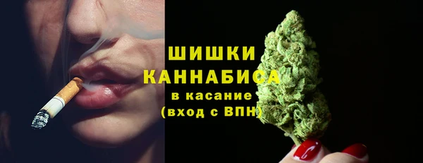 индика Надым