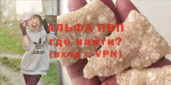 индика Надым
