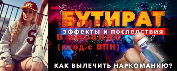 индика Надым