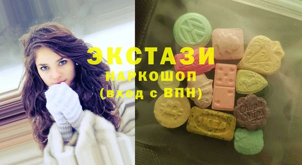 индика Надым