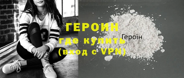 индика Надым